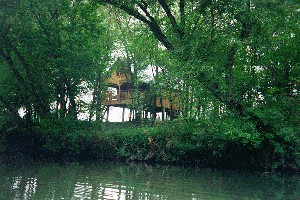 Tree Top View Cabins Oklahoma Cabin Rental Vacation